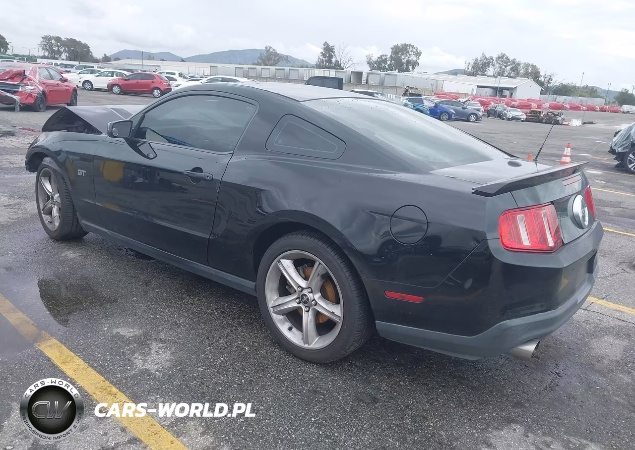 2010 Ford Mustang Gt-Gt Premium VIN:1ZVBP8CH6A5171020 - 3