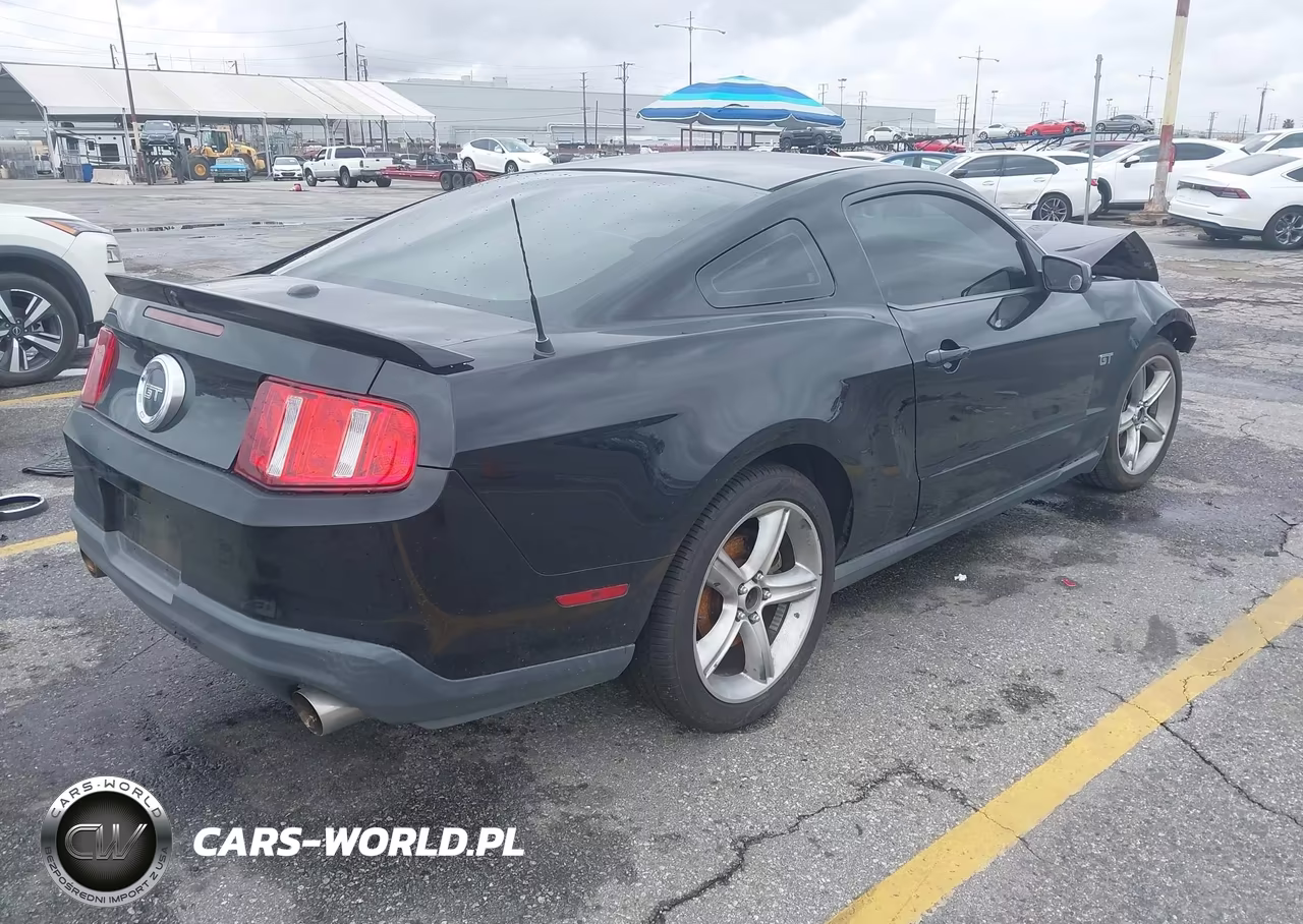 2010 Ford Mustang Gt-Gt Premium VIN:1ZVBP8CH6A5171020 - 4