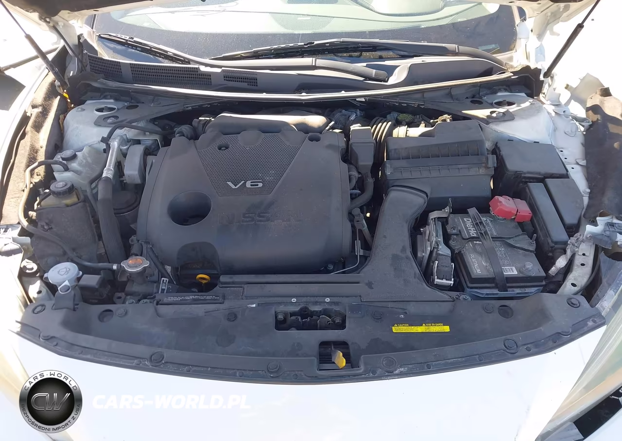 2018 Nissan Maxima 3.5 Platinum VIN:1N4AA6AP0JC409458 - 10