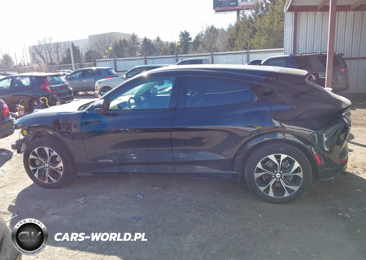 2022 Ford Mustang Mach-E Premium VIN:3FMTK3SS8NMA37708 - 15