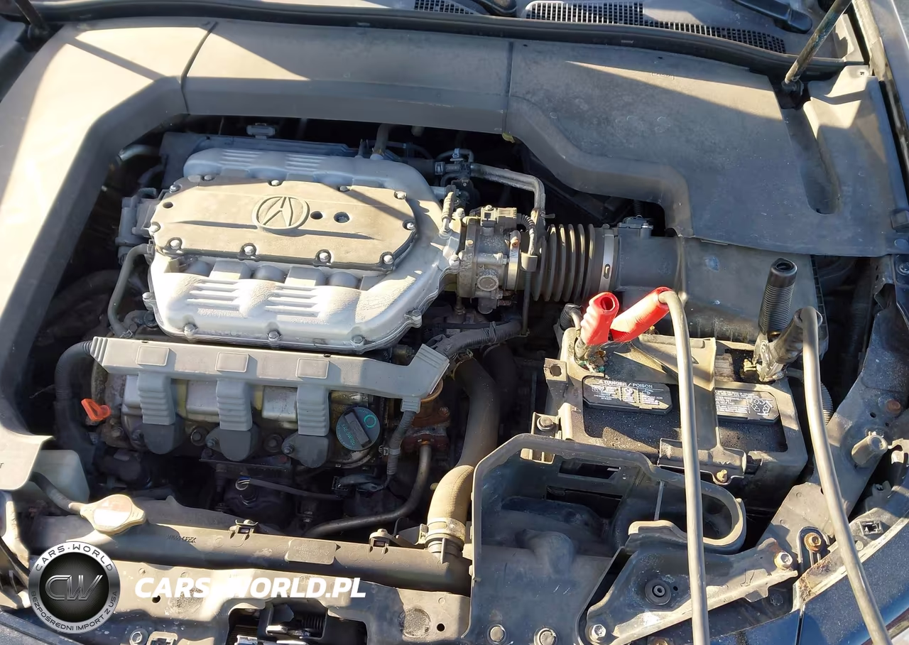 2009 Acura Tl 3.5 VIN:19UUA86289A025842 - 10