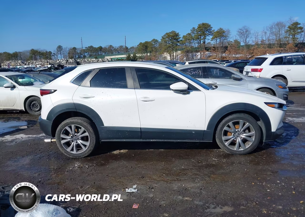 2020 Mazda Cx-30 Select Package VIN:3MVDMBCLXLM123361 - 13