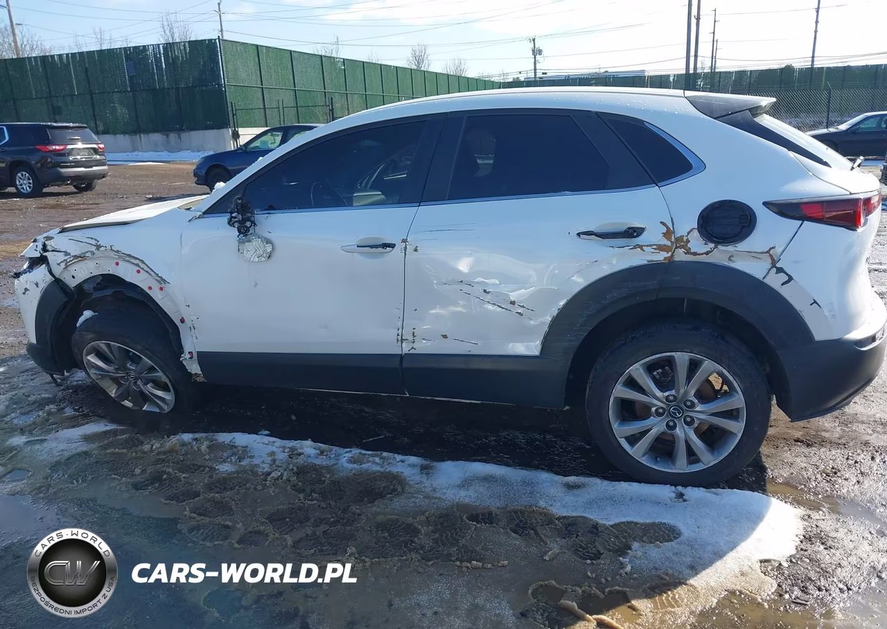 2020 Mazda Cx-30 Select Package VIN:3MVDMBCLXLM123361 - 17