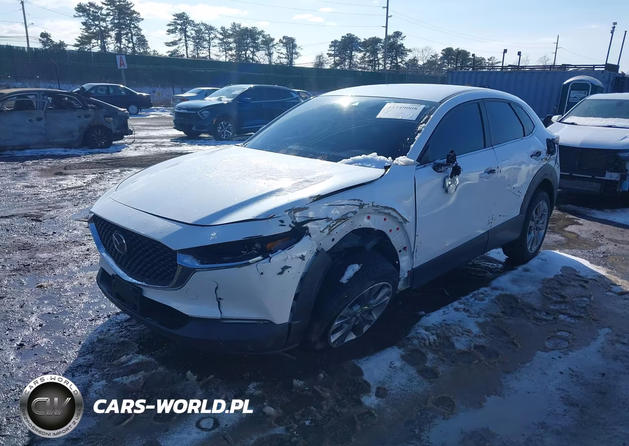 2020 Mazda Cx-30 Select Package VIN:3MVDMBCLXLM123361 - 2