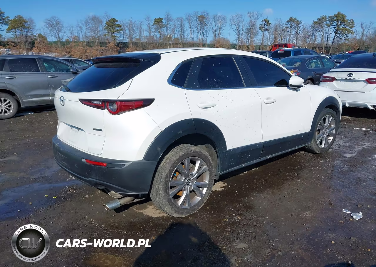 2020 Mazda Cx-30 Select Package VIN:3MVDMBCLXLM123361 - 4