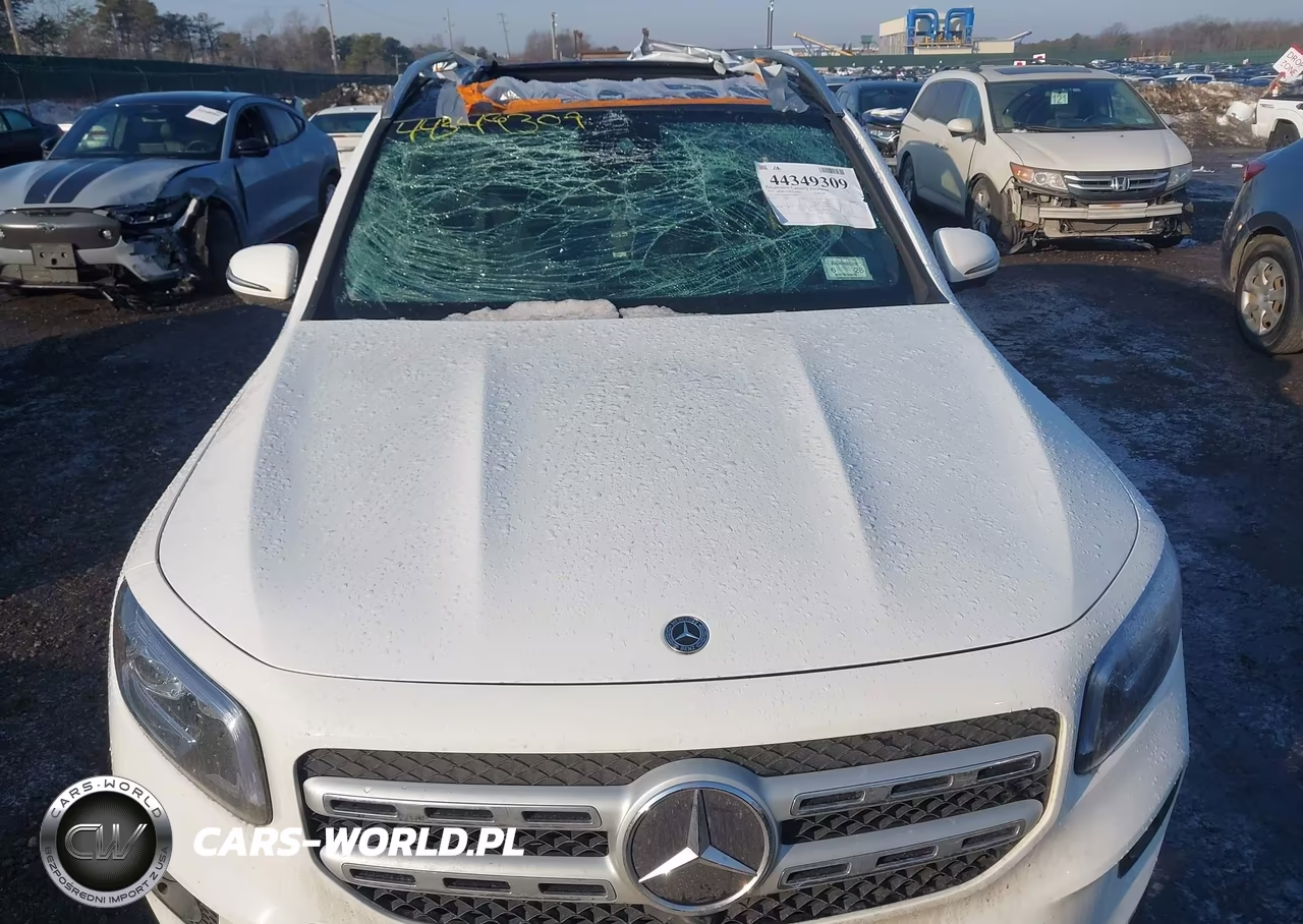 2022 Mercedes-Benz Glb 250 4Matic VIN:W1N4M4HB6NW178687 - 12