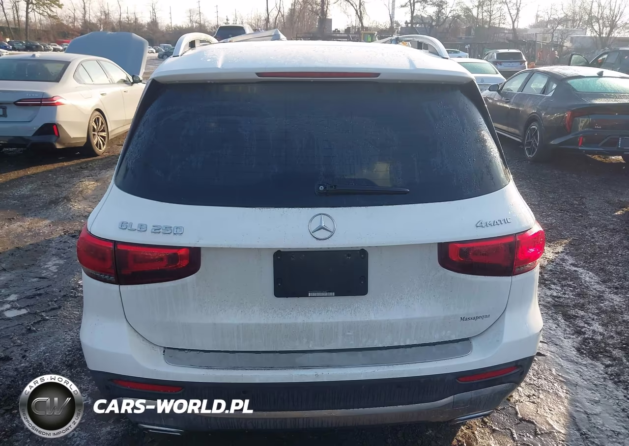 2022 Mercedes-Benz Glb 250 4Matic VIN:W1N4M4HB6NW178687 - 16
