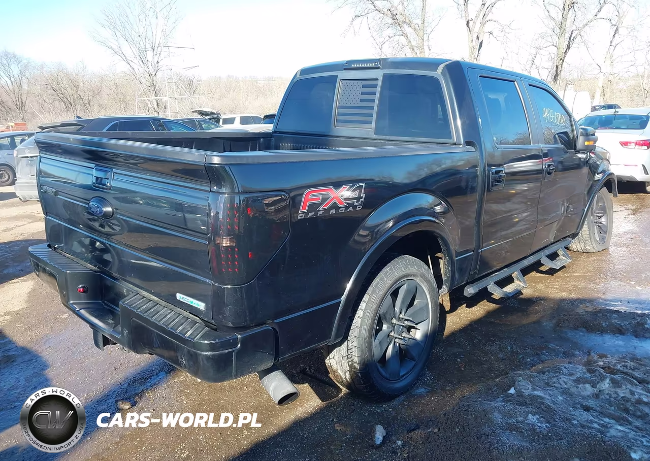 2014 Ford F-150 Fx4 VIN:1FTFW1ET3EFB12796 - 4