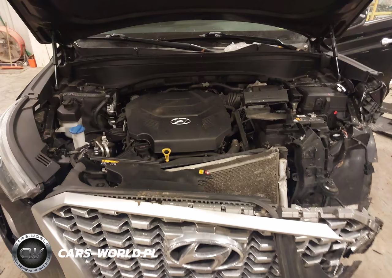 2020 Hyundai Palisade Sel VIN:KM8R3DHE0LU086473 - 10