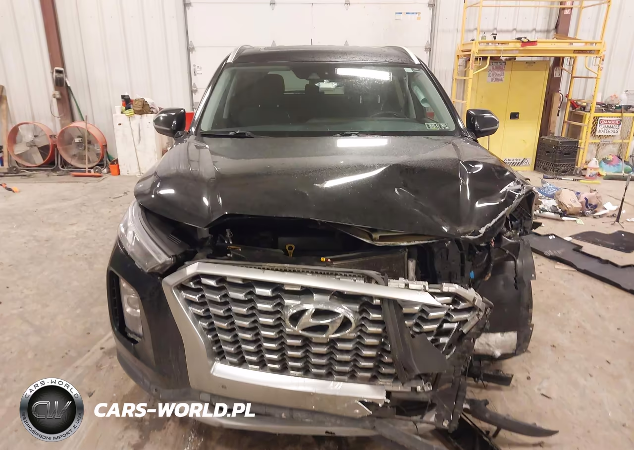 2020 Hyundai Palisade Sel VIN:KM8R3DHE0LU086473 - 12