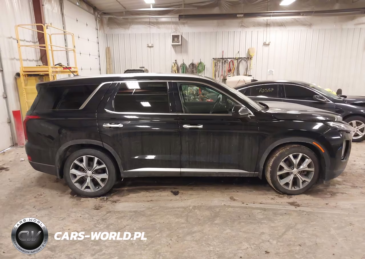 2020 Hyundai Palisade Sel VIN:KM8R3DHE0LU086473 - 13