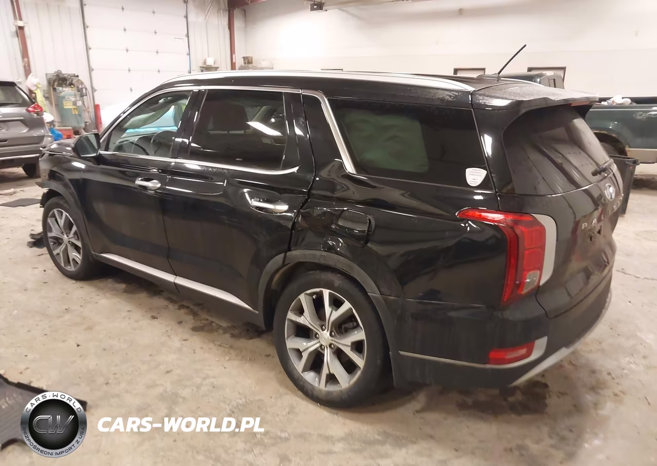 2020 Hyundai Palisade Sel VIN:KM8R3DHE0LU086473 - 3