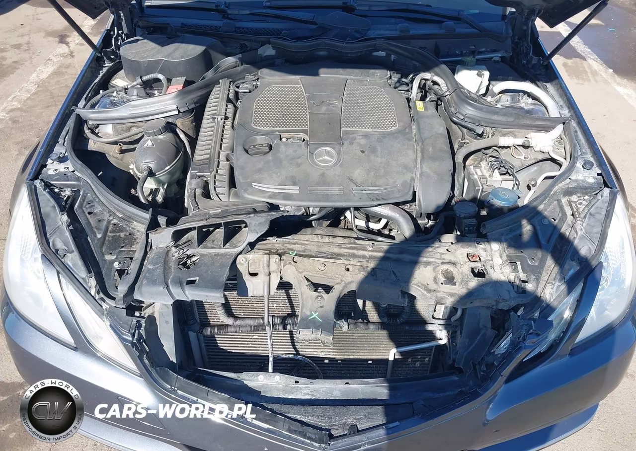 2013 Mercedes-Benz E 350 VIN:WDDKJ5KB4DF218047 - 10