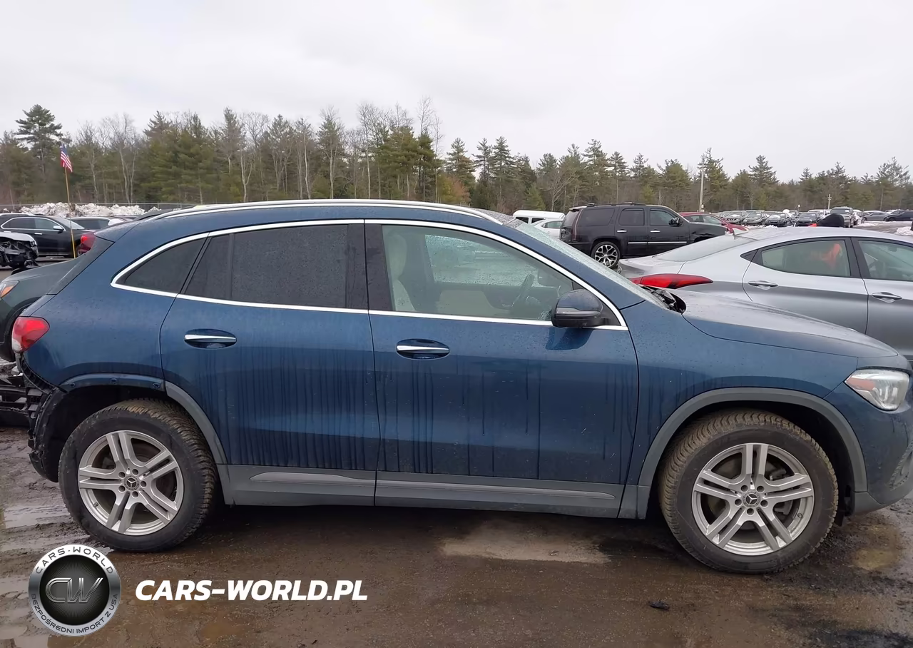 2021 Mercedes-Benz Gla 250 4Matic VIN:W1N4N4HB0MJ171792 - 14