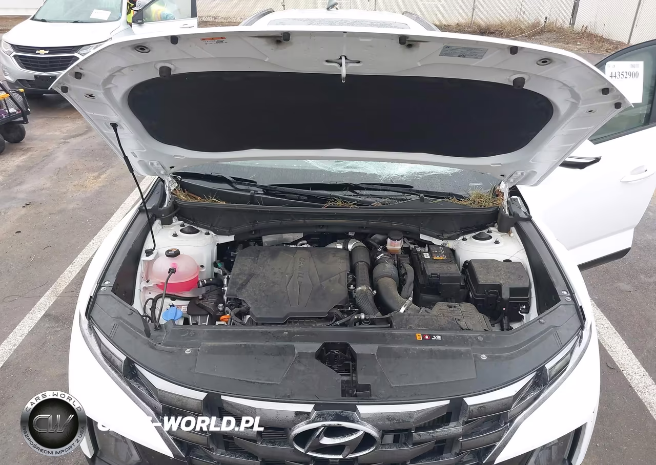 2024 Hyundai Santa Cruz Limited VIN:5NTJEDDF7RH120617 - 10