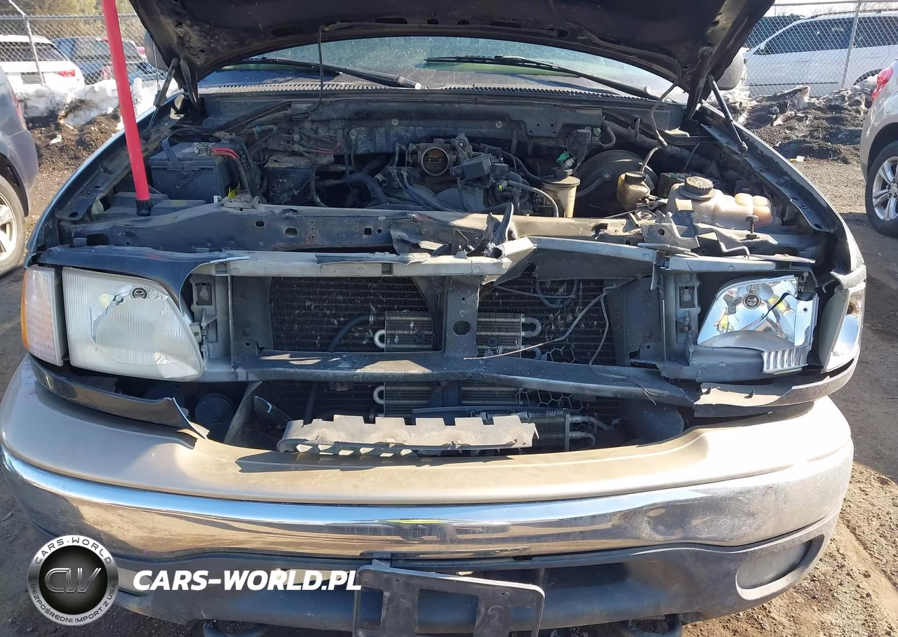 2000 Ford F-150 Lariat-Work Series-Xl-Xlt VIN:1FTRX18W1YNA99010 - 6
