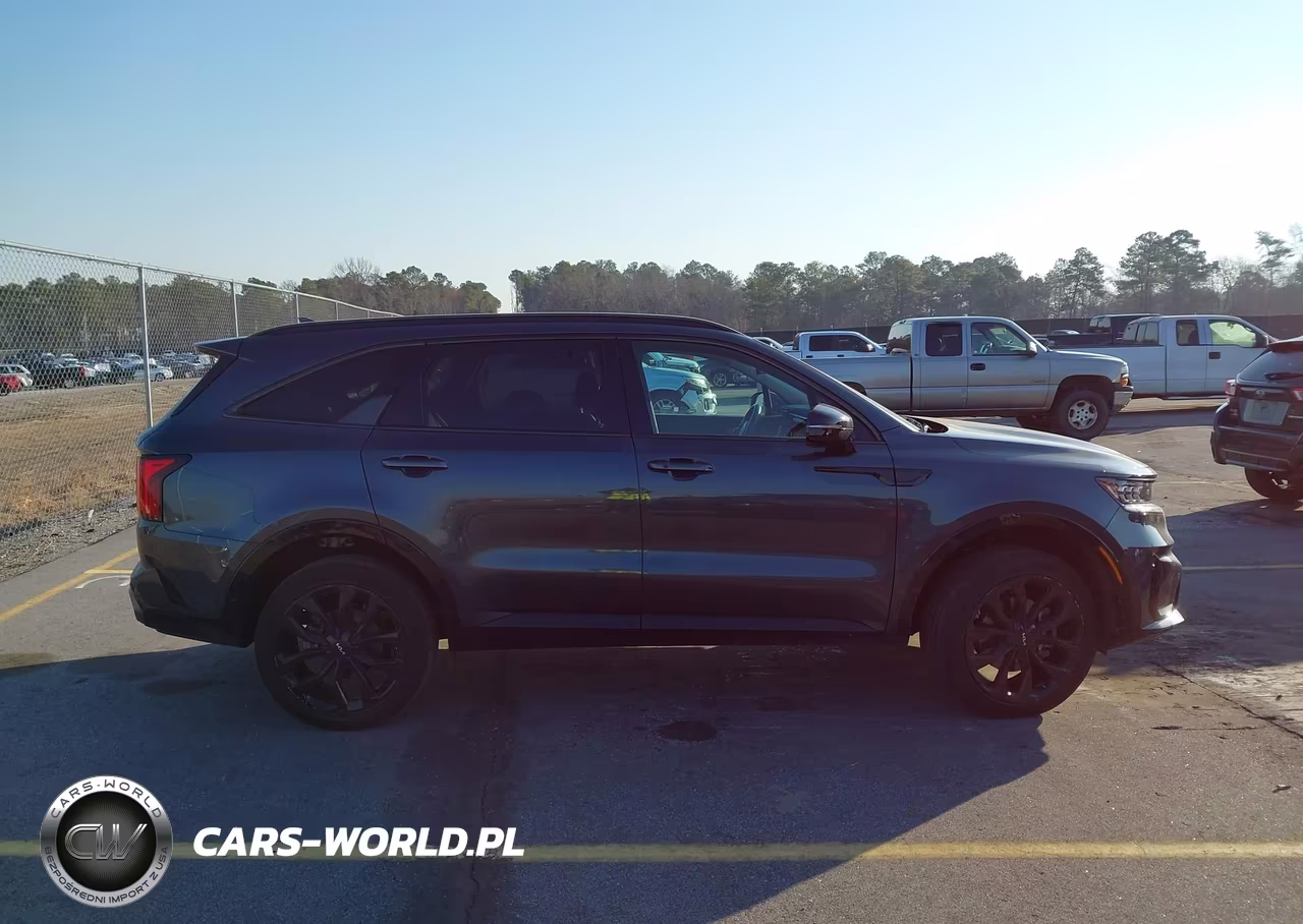 2023 Kia Sorento Sx Prestige VIN:5XYRKDLF3PG229009 - 13