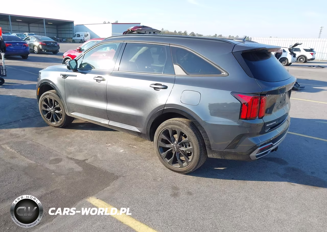 2023 Kia Sorento Sx Prestige VIN:5XYRKDLF3PG229009 - 3
