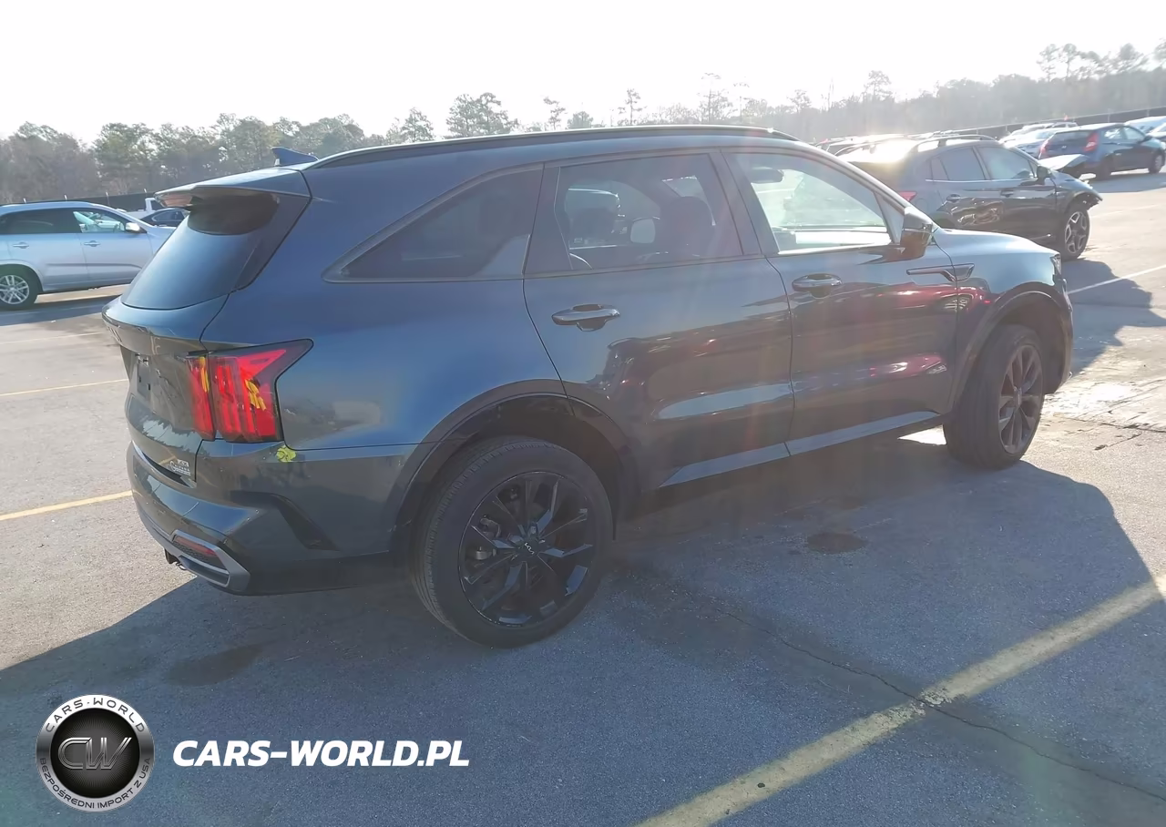 2023 Kia Sorento Sx Prestige VIN:5XYRKDLF3PG229009 - 4