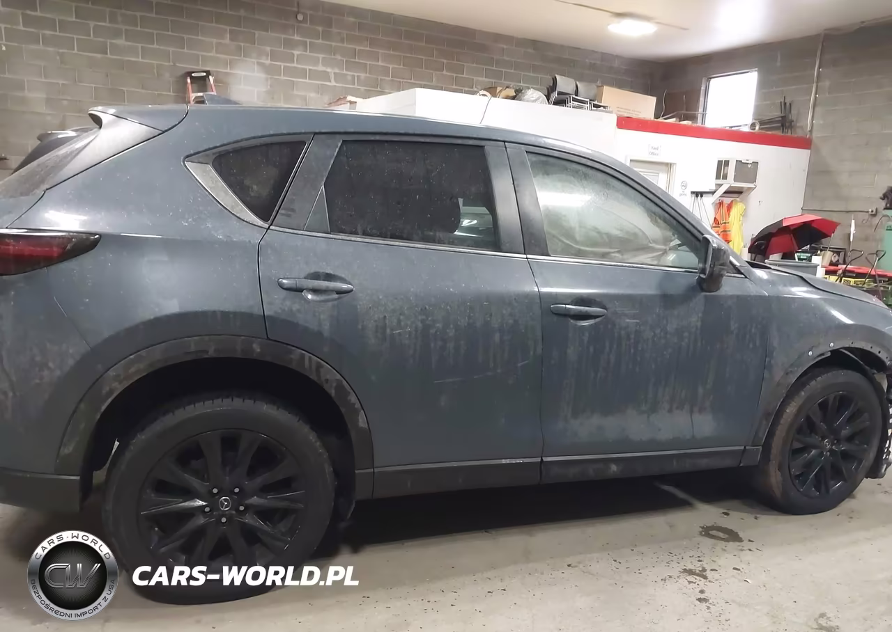 2023 Mazda Cx-5 2.5 S Carbon Edition VIN:JM3KFBCM1P0123678 - 13