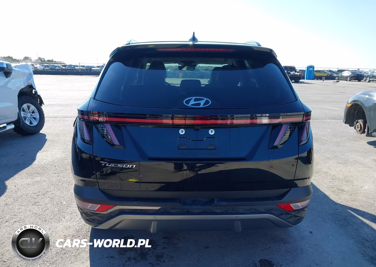 2024 Hyundai Tucson Limited VIN:5NMJE3DE9RH413139 - 17