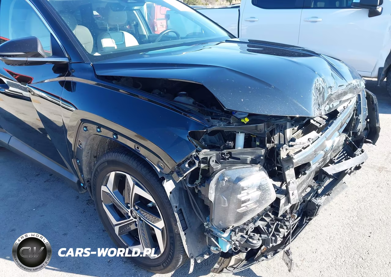 2024 Hyundai Tucson Limited VIN:5NMJE3DE9RH413139 - 20