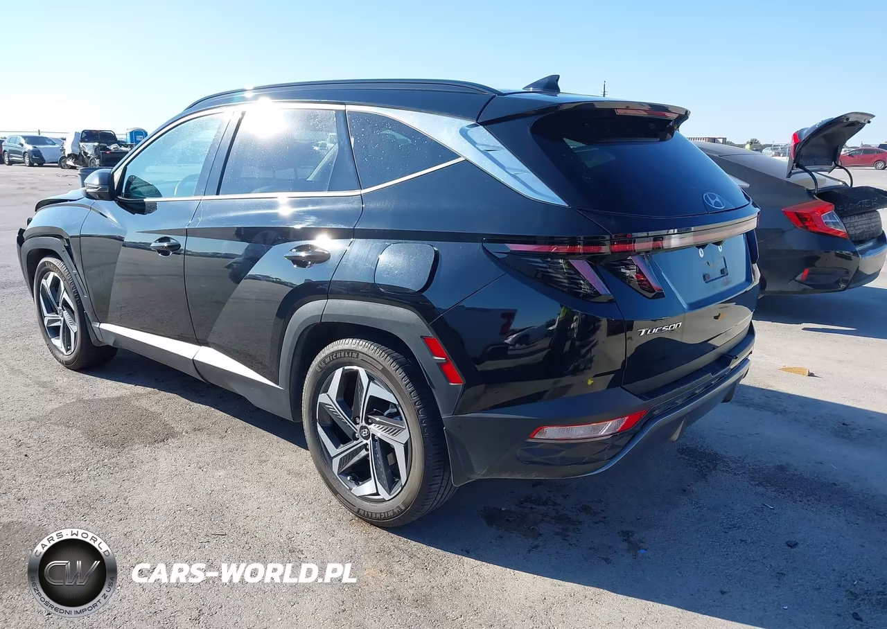 2024 Hyundai Tucson Limited VIN:5NMJE3DE9RH413139 - 3