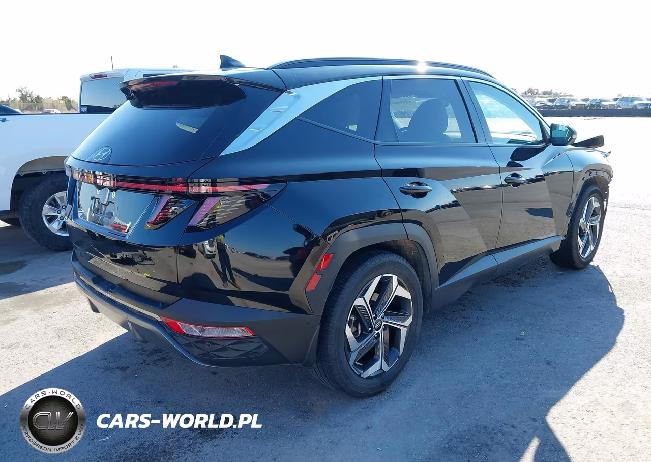 2024 Hyundai Tucson Limited VIN:5NMJE3DE9RH413139 - 4