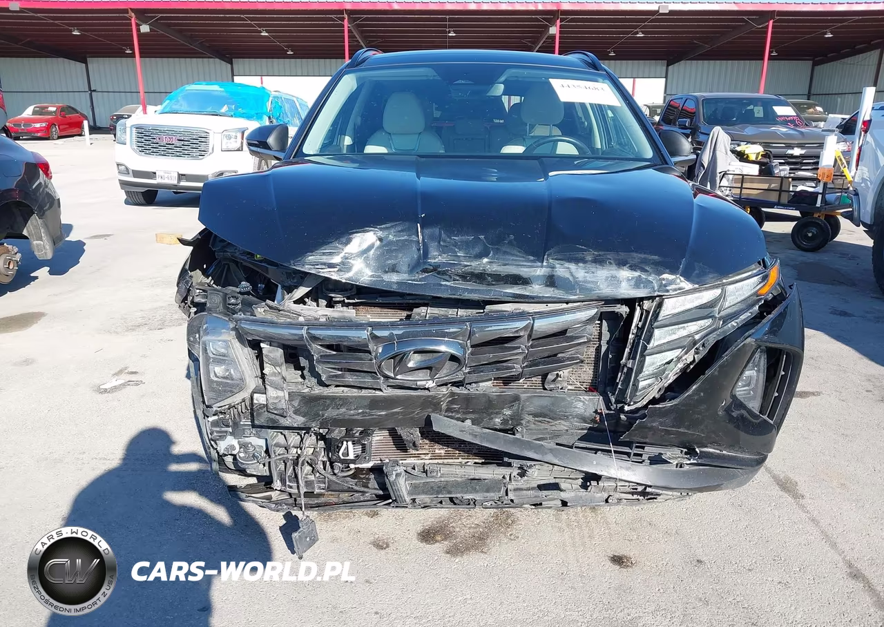 2024 Hyundai Tucson Limited VIN:5NMJE3DE9RH413139 - 6