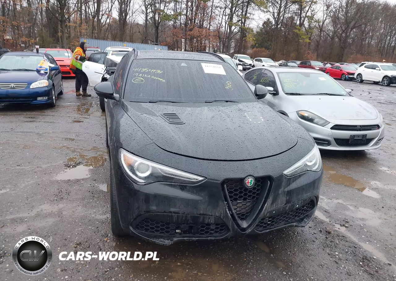 2019 Alfa Romeo Stelvio Ti Sport Awd VIN:ZASPAKBN4K7C44946 - 12