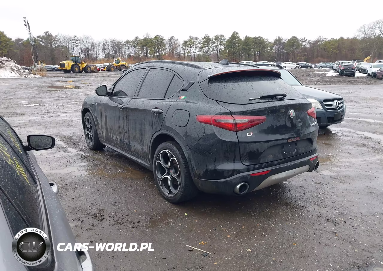2019 Alfa Romeo Stelvio Ti Sport Awd VIN:ZASPAKBN4K7C44946 - 3