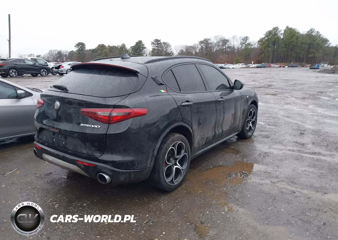 2019 Alfa Romeo Stelvio Ti Sport Awd VIN:ZASPAKBN4K7C44946 - 4
