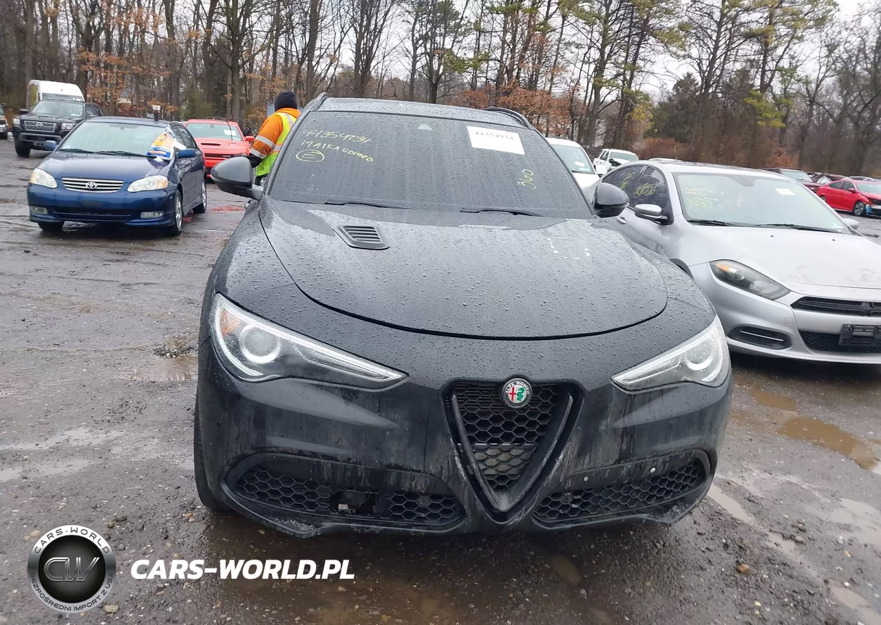 2019 Alfa Romeo Stelvio Ti Sport Awd VIN:ZASPAKBN4K7C44946 - 6
