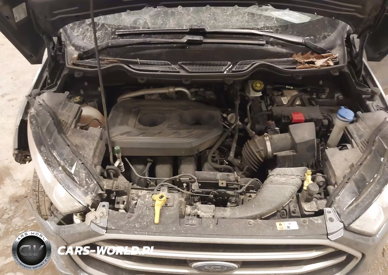 2018 Ford Ecosport Se VIN:MAJ6P1UL0JC200642 - 10