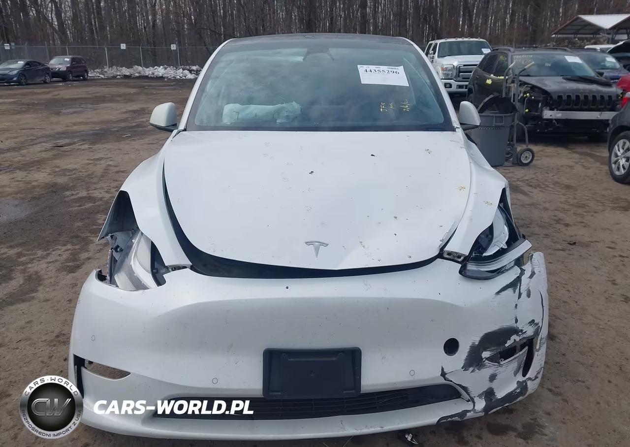 2021 Tesla Model Y Long Range Dual Motor All-Wheel Drive VIN:5YJYGDEE0MF296073 - 11