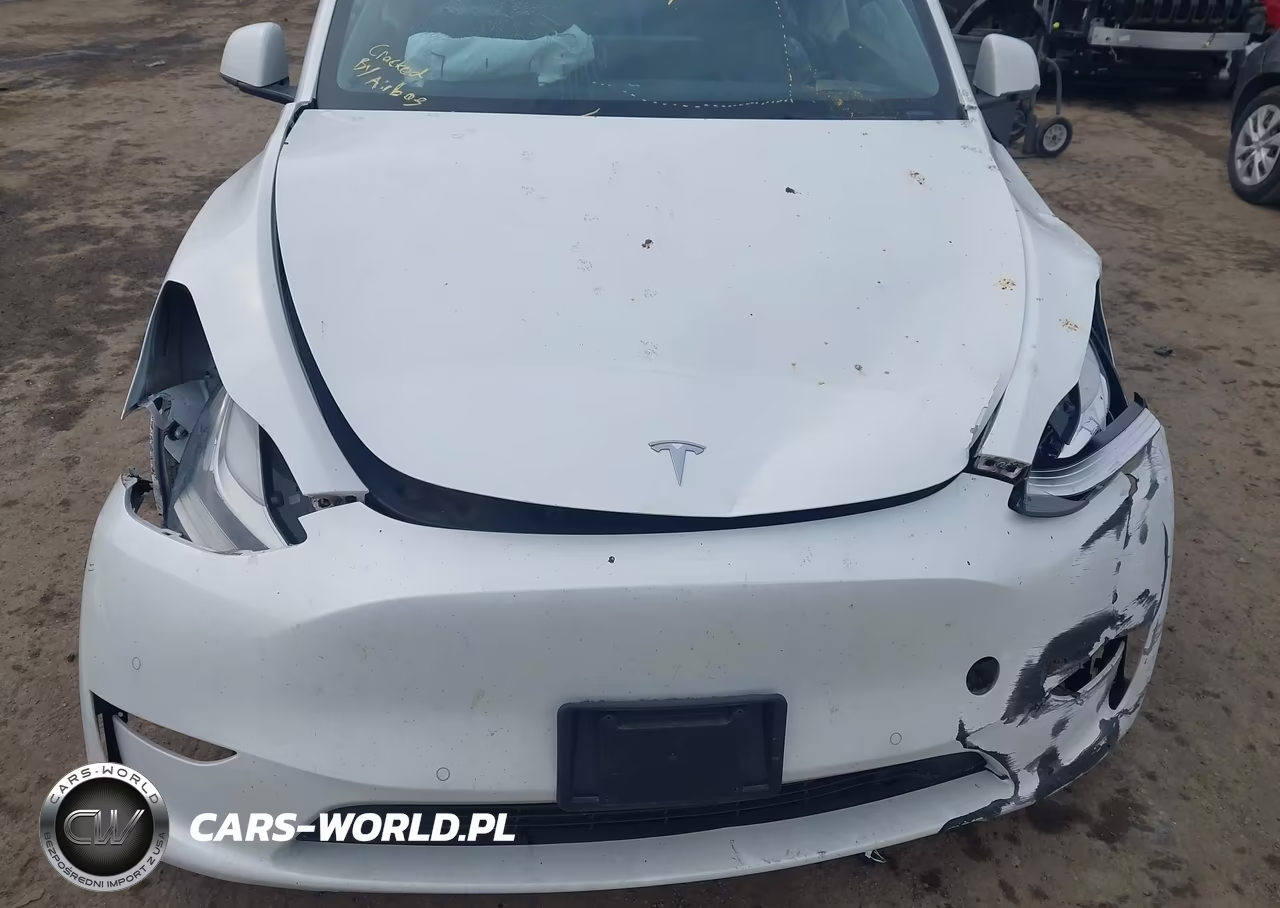2021 Tesla Model Y Long Range Dual Motor All-Wheel Drive VIN:5YJYGDEE0MF296073 - 6
