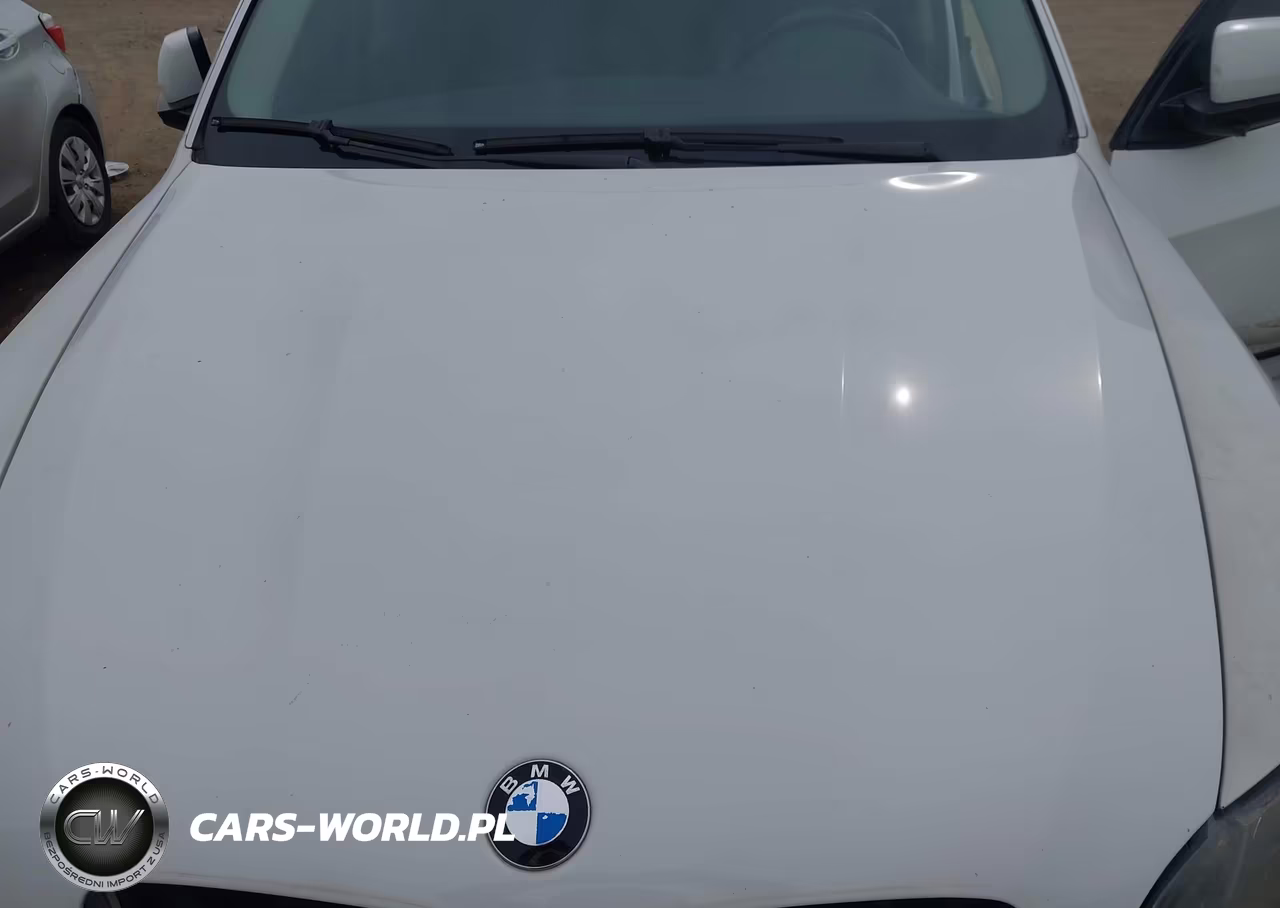 2009 BMW X5 xDrive30I VIN:5UXFE43549L269400 - 10