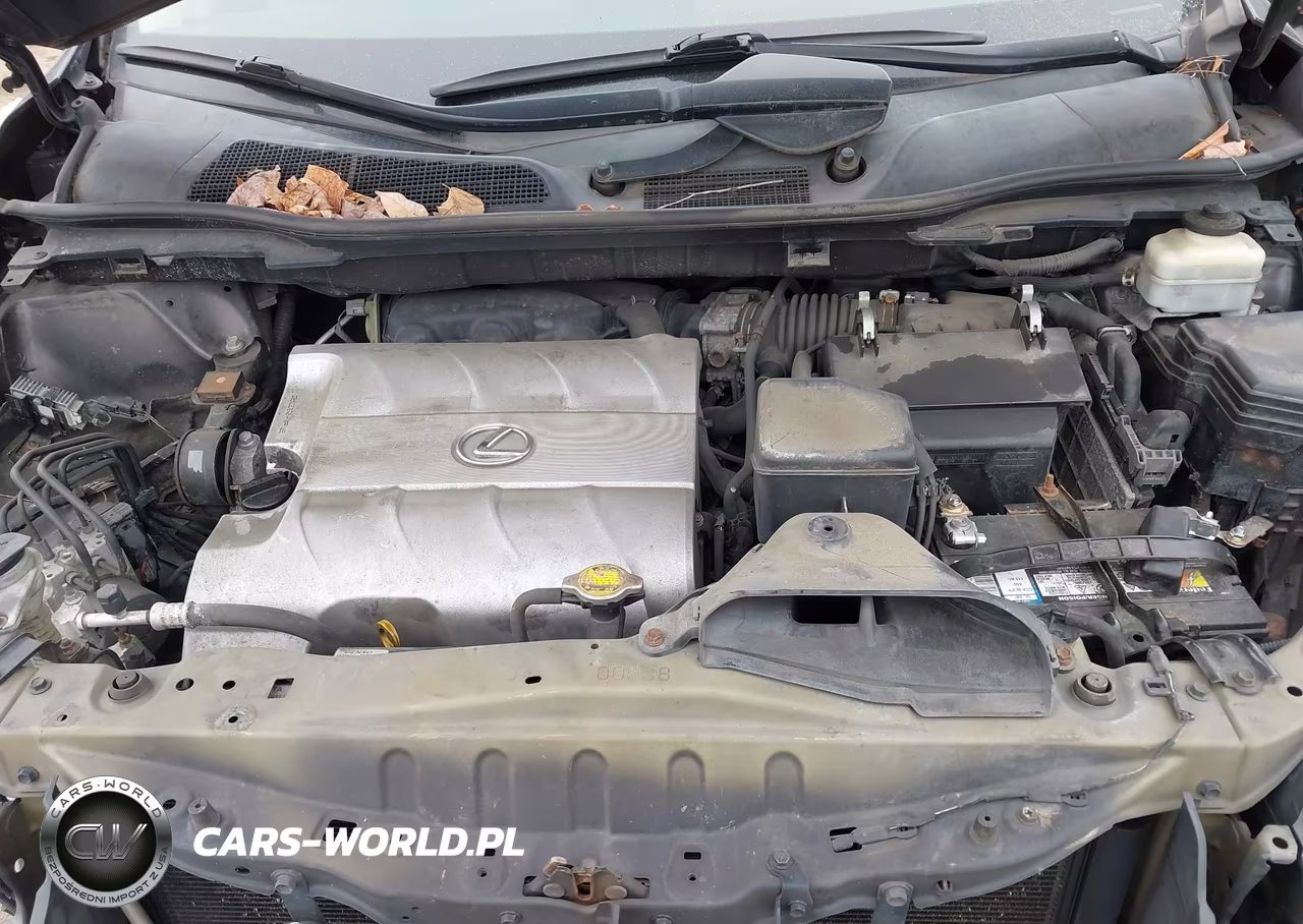 2010 Lexus Rx 350 VIN:2T2BK1BA6AC067445 - 10
