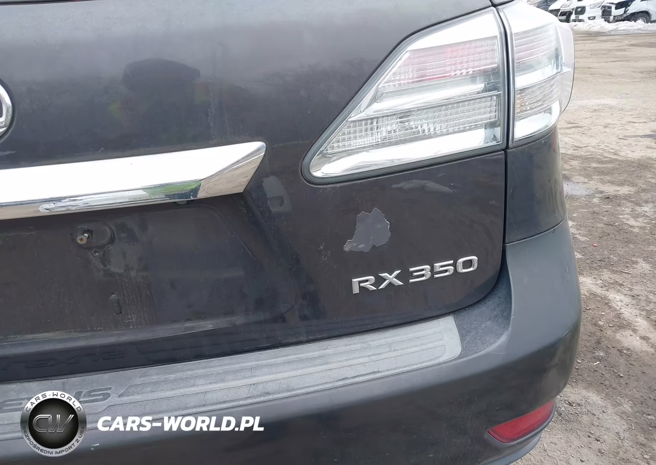2010 Lexus Rx 350 VIN:2T2BK1BA6AC067445 - 20