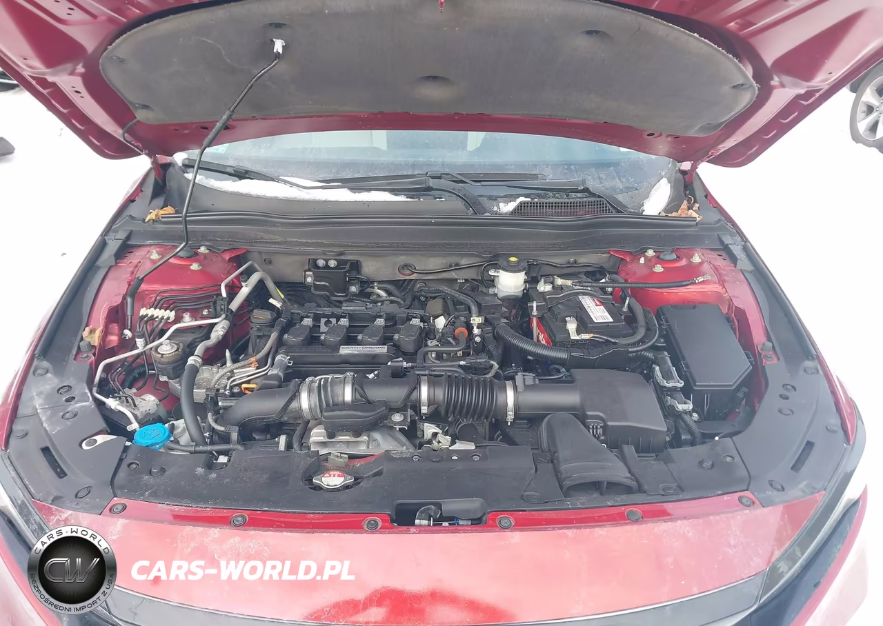 2019 Honda Accord Lx VIN:1HGCV1F13KA074550 - 10