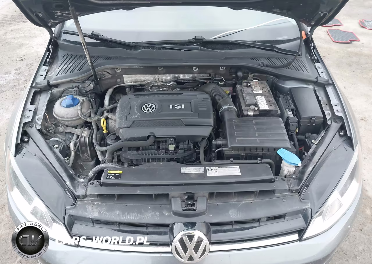 2015 Volkswagen Golf Tsi Se 4-Door VIN:3VW217AU0FM004830 - 10