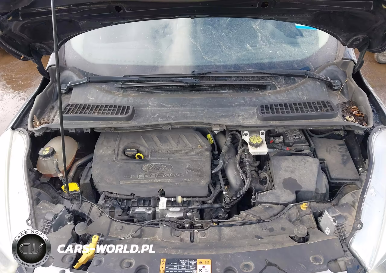 2017 Ford Escape Titanium VIN:1FMCU9JD3HUC47164 - 10