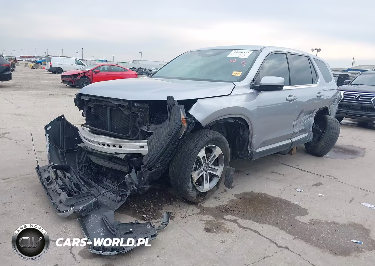 2024 Honda Pilot Ex-L 7 Passenger VIN:5FNYG2H52RB002020 - 2