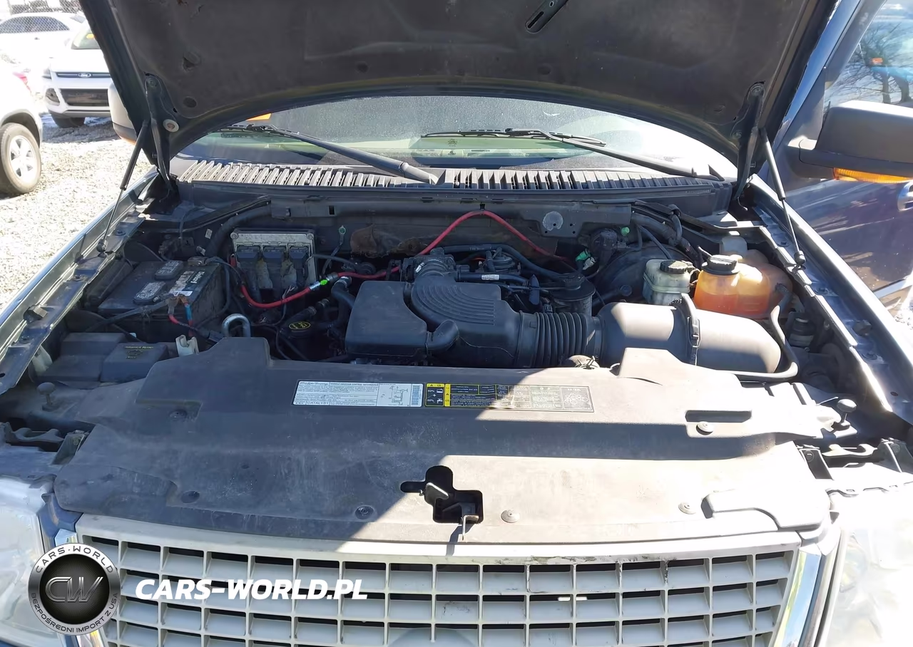 2003 Ford Expedition Eddie Bauer VIN:1FMFU18L13LA98196 - 10