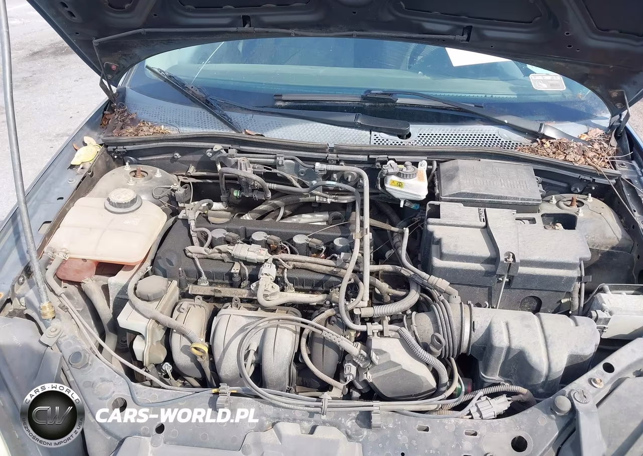 2006 Ford Focus Zx3 VIN:1FAFP31N96W142490 - 10