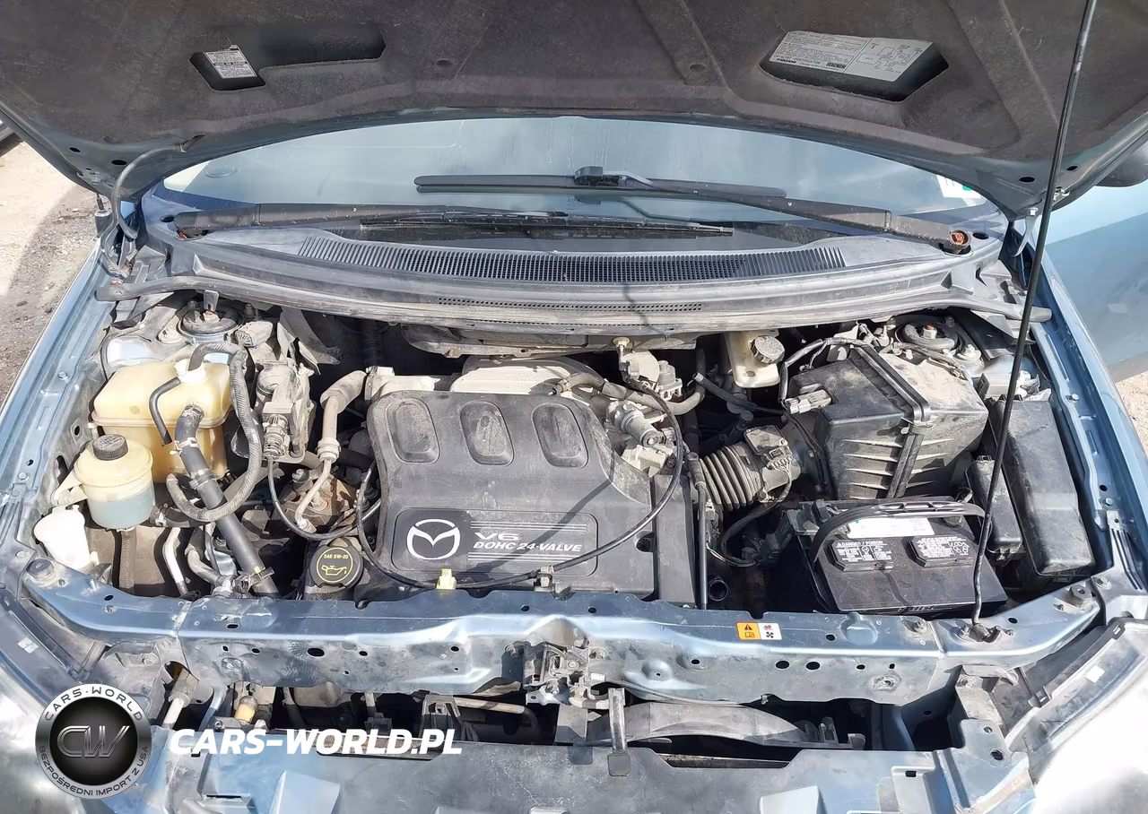 2004 Mazda Mpv Lx VIN:JM3LW28A140501609 - 10