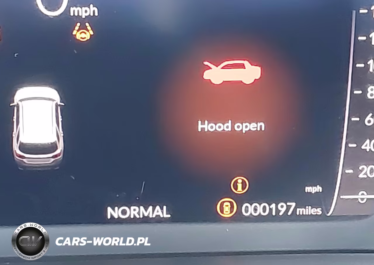 2026 Honda Pilot Elite VIN:5FNYG1H8XTB002097 - 16