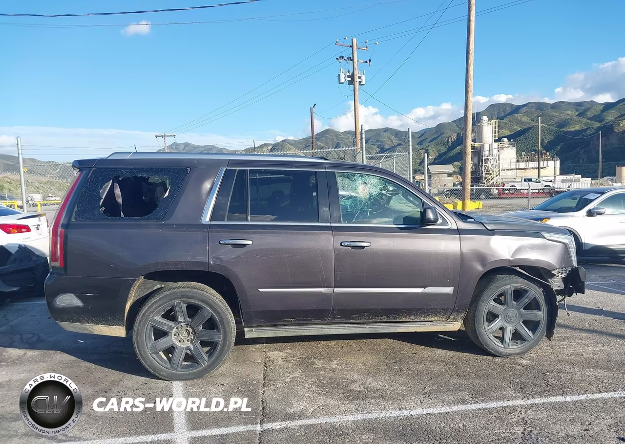 2015 Cadillac Escalade Premium VIN:1GYS3CKJ3FR238088 - 14