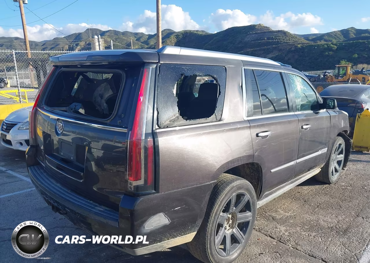 2015 Cadillac Escalade Premium VIN:1GYS3CKJ3FR238088 - 18