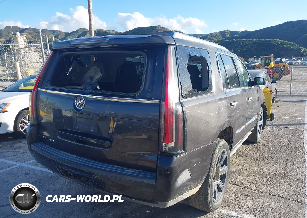 2015 Cadillac Escalade Premium VIN:1GYS3CKJ3FR238088 - 19